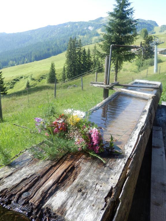 Apartments Saalachtal Lofer Luaran gambar